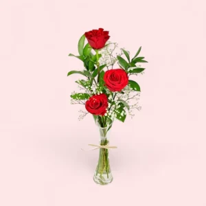Crimson Delight Vase