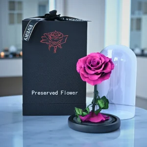 Endless Affection Rose