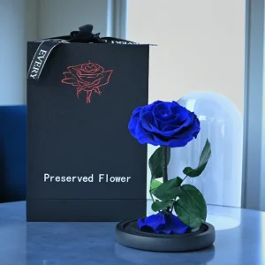 Classic Forever Rose