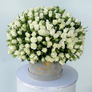 White Baby Roses Box
